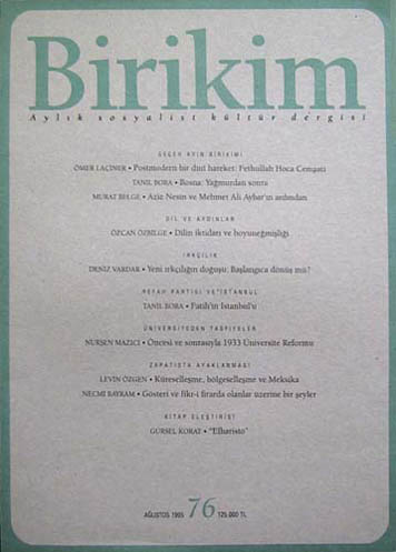 Birikim Sayı 76 - Ağustos 1995