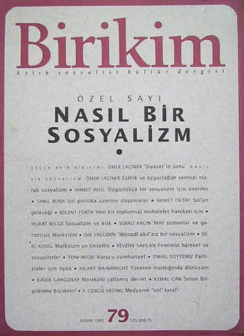 Birikim Sayı 79 - Kasım 1995