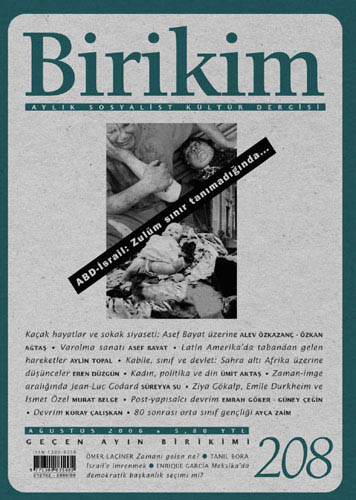 Birikim Sayı 208 - Ağustos 2006