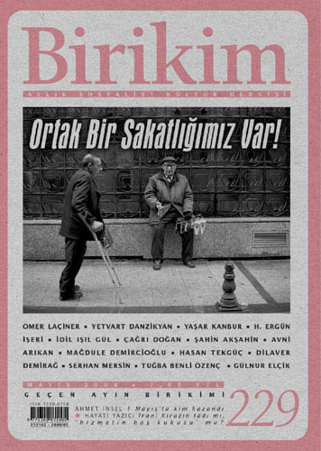 Birikim Sayı 229 - Mayıs 2008