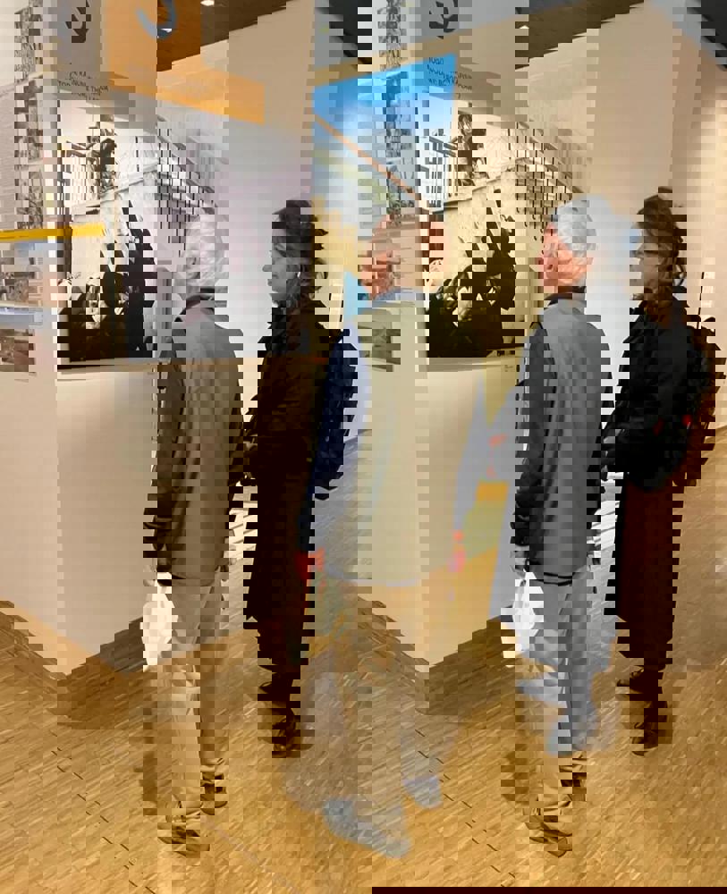 Mine Yıldırım ile “İhtimam ile Şiddet Arasında: İstanbul’un Köpekleri" sergisi üzerine söyleşi