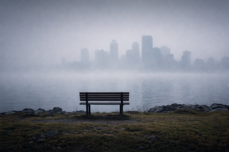 Poetikanın İptali Mümkün mü ya da Bakışsız bir Kedi Karada Israr