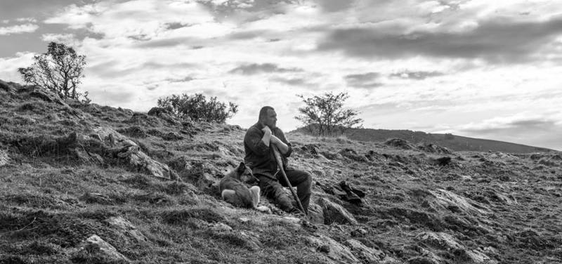 “As Bestas”: Anlatılan Bizim Hikâyemiz