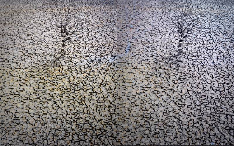 Kuraklık: Bir Sonraki Pandemi - İklim, Su ve Geciken Siyasetin Ortak Krizi