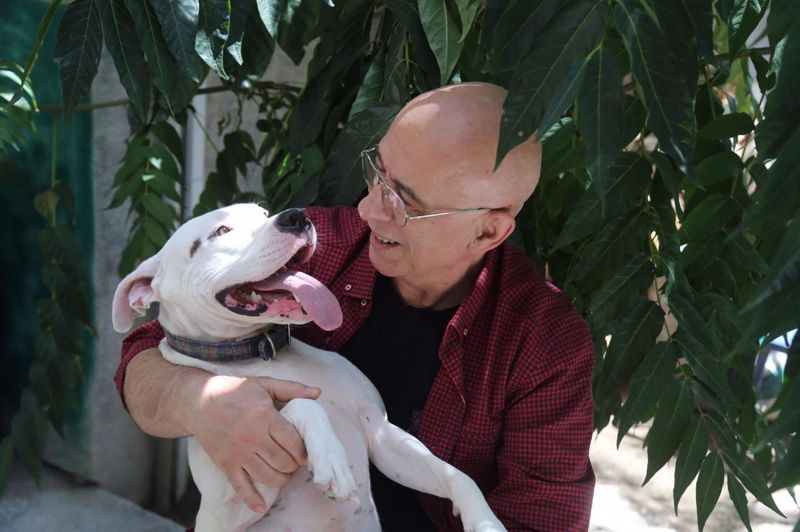 “Hem yaşam alanlarına kâbus gibi çök, hem de yeni ve zararlı bir canlı türü bulmuşsun gibi ad tak, sokak hayvanı de…”