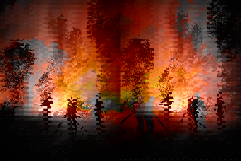 Yangınların Asıl Nedeni: Kentin Kırı Yutması