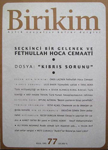 Birikim Sayı 77 - Eylül 1995