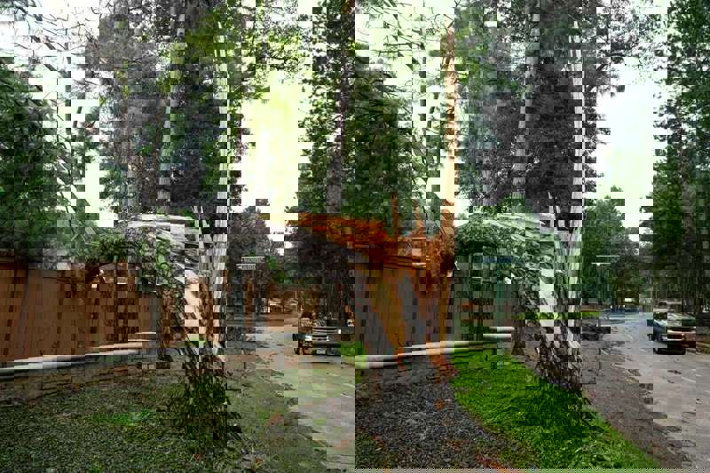 Direnmenin Doğa Tarihi