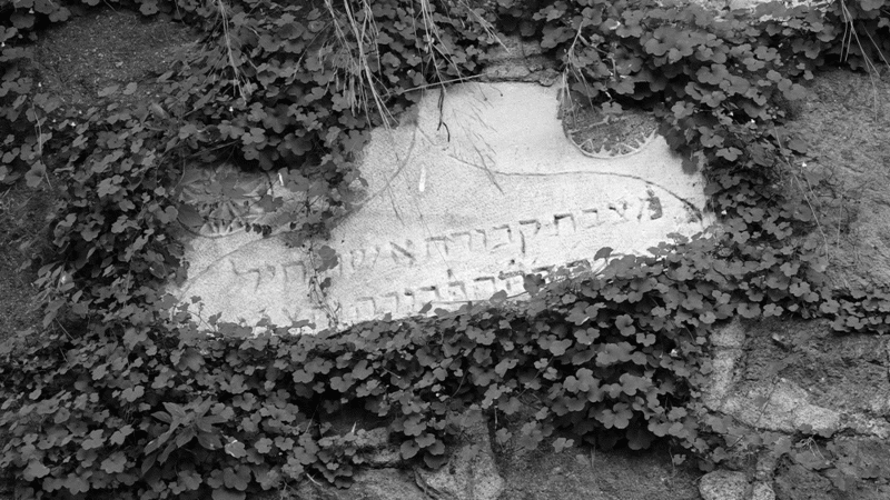 "Tarih Mezarda Başlar"