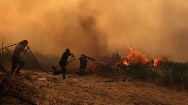 Ateşin Hafızası: Yangınlar, Ekolojik Kırılganlık ve Unutmanın Bedeli