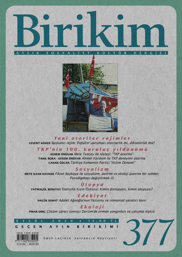 Birikim Sayı 377 - Eylül 2020