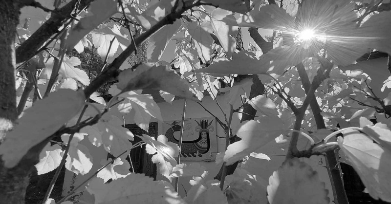 Stockholm Sendromu, Çifte Bilinç ve Kürtler