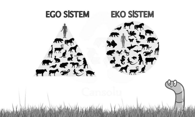 Sağ ve Hayvan Hakları