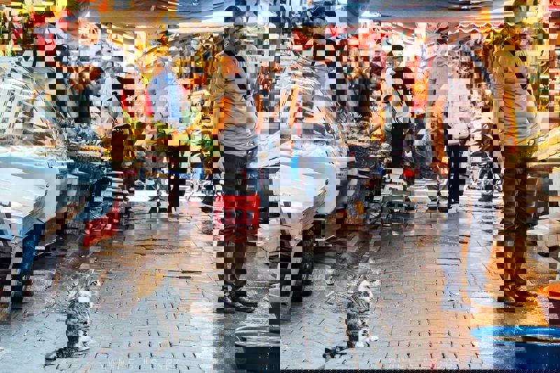 Kentte Flanör gibi Yürümek: İstanbul’da Kaybolmak, Ankara’da Düşünmek, İzmir’de Soluklanmak