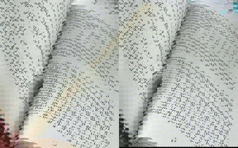 Cehaletin Bilgisi-Bilginin Cehaleti: Kıpır Kıpır Hareketsiz Toplum