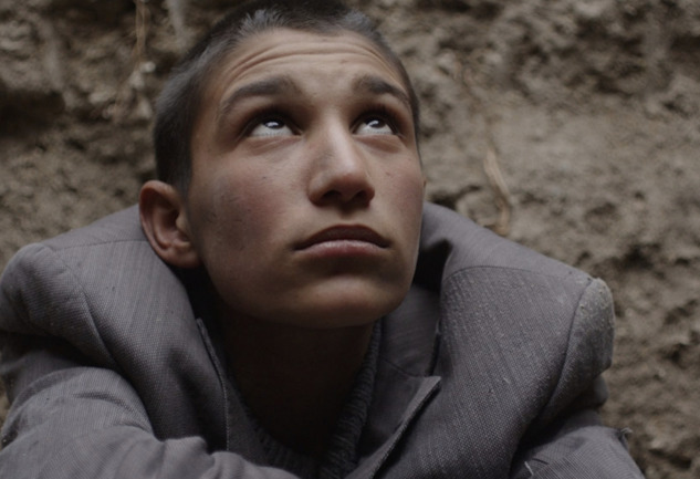 Tavşan İmparatorluğu’nda Hegemonya ve Direnişin Mikrokozmosu