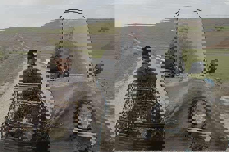 Tavşanlar, Çocuklar ve Diğer Mazlumlar: Seyfettin Tokmak’la Tavşan İmparatorluğu Üzerine Söyleşi