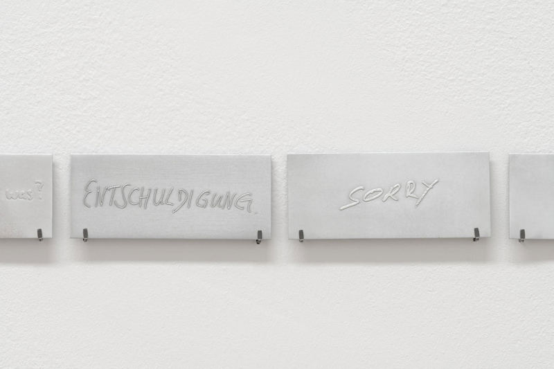 Ne Karanfil Ne Kurbağa